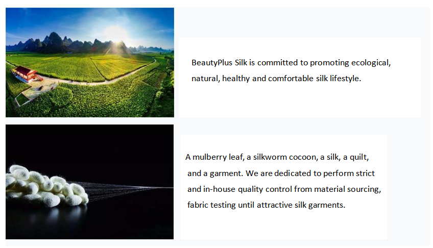 e4850b06fe901395a31d406c570b61c